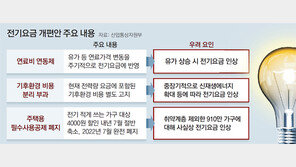 1·2인 가구 등 910만 가구, 내년 7월부터 전기료 오른다