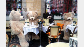 코로나로 손님 줄어들자… ‘테디베어’ 인형 퍼포먼스