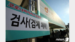 2.5단계서 버티는 정부 낙관론…“당분간 환자 증가해도 결국 감소”