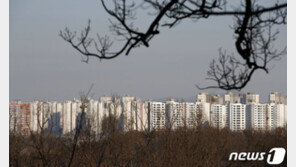 “조정대상지역 묶어도 오른다”…커지는 ‘규제 무용론’