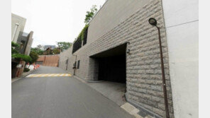 내년 단독주택 공시價 1위는 이명희 회장집…“295.3억 책정”