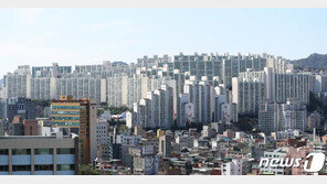 올 한해 민심 들쑤신 황당한 부동산 실언들