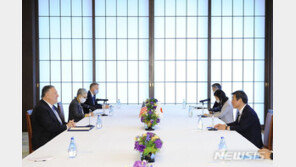 美폼페이오-日모테기 전화회담…인도·태평양 구상 협력 확인