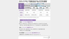 얀센·화이자 12월, 모더나 내년 1월 계약…2~3월 접종 시작
