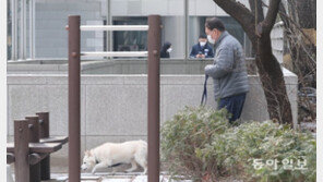 ‘정직 이틀째’ 반려견과 산책 尹…대검 앞에선 환갑잔치 [청계천 옆 사진관]