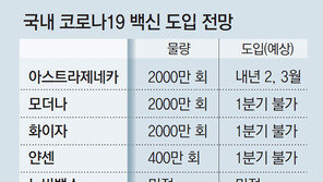 丁총리 “7월엔 환자 적어 백신 의존도 높일 생각안해” 오판 시인