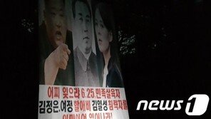 ‘글로벌 역풍’에도…대북전단금지법 국무회의 의결, 논란 예고