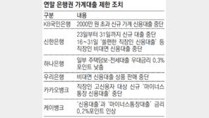 연말대출 꽁꽁… 신한 “신규접수 중단” 국민 “2000만원 이하 제한”