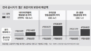 공시지가 10% 뛰어… 명동 ㎡당 2억