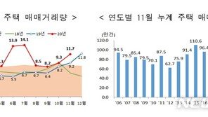 11월 주택매매거래량 25.9% 늘어…지방 48.7% 급증