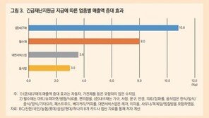 우리 집 재난지원금 다 썼는데 소비효과는 30%…왜?