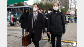 국민의당 “법치주의 최후의 보루인 법원의 현명한 결정 환영”