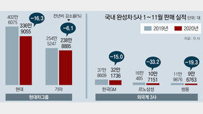 현대기아차 내수 선방… 내년 전기차 시장 경쟁 격화