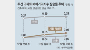 강남 아파트값 들썩… 상승세, 지방서 다시 서울로