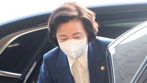 “윤석열 탄핵, 역풍 오지 않는다” 추미애, 與의원 글 공유