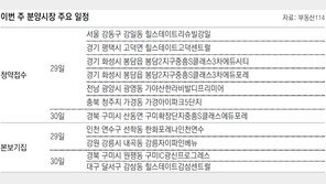 [부동산 캘린더]서울 ‘힐스테이트리슈빌강일’ 등 6302채 청약접수