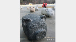 복덩이들[고양이 눈]