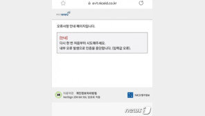 5억 로또 DMC파인시티자이 ‘줍줍’ 신청에 접속 장애