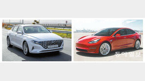 크고 우아한 ‘그랜저’-첨단 IT 무장 ‘모델3’, 올해 가장 잘 달렸다