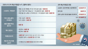 9兆로 불어난 3차 재난금… 스키장내 식당-편의점에도 300만원