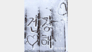 새해 소원[고양이 눈]