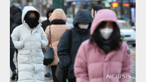 올겨울 최강 추위…한랭질한자 2명·계량기 동파 19건