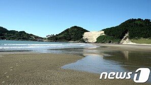 ‘우이’ ‘우산’ ‘와우’ ‘우도’…전남에 소 관련 지명만 204곳