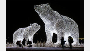 커다랗게 빛나는 곰… 러시아 성탄 조형물