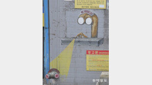 ET의 마술[고양이 눈]