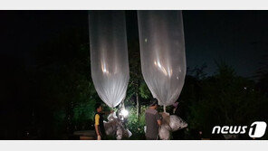 대북 전단 살포·북한 인권 단체, 대북전단금지법 헌법소원