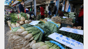 올해 소비자물가 0.5%↑…사상 첫 2년 연속 0%대 상승