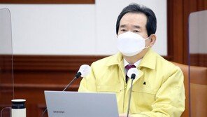 丁총리 “국내개발 백신, 내년 말쯤…치료제 허가심사 들어가”