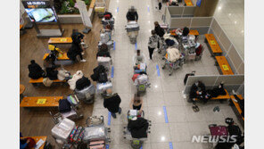 변이 코로나 영국은 GR, 남아공 GH…“국내 유행 바이러스와 달라”