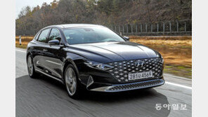 국산차 해외 판매 급감… 우한발 ‘코로나19’ 악재에 속수무책