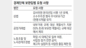경제단체들 “상법 등 최소한 보완입법을”