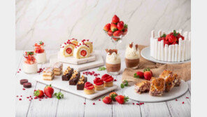 “디저트부터 패션까지 딸기밭이네”…제철 딸기를 즐기는 방법은?