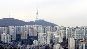 재혼남편-자녀 5명에 동거남까지 ‘막장 청약’