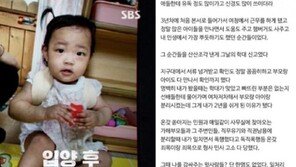 현직 경찰, “정인아 미안, 더 이상 용기가 안난다”…고충 토로