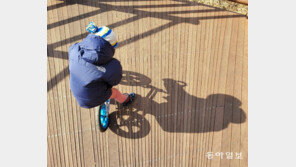 아빠와 자전거[고양이 눈] 