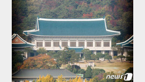 文대통령 ‘탈정치 선언’ 구상 보도에 靑 “검토된 바 없다”