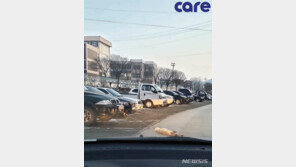 자동차에 묶인 채 5㎞ 끌려간 개…경찰, 고의성 수사