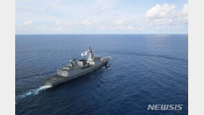 한국 선박 나포 하루 만에 호르무즈 도착 청해부대, 역할은?