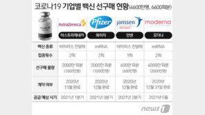 화이자 백신 2월 도입 즉시 접종?…콜드체인 없인 접종 어려워