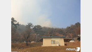 안동 북후면 야산에 불…헬기 5대 진화 중