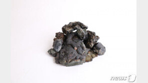 진안 대량리 제동유적서 ‘제동로’ 추가 발견