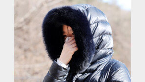 “정인아 미안해”…이영애, 쌍둥이와 묘소 찾아 ‘눈물’