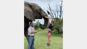 코끼리 상아에 매달려 턱걸이?…‘학대’ 비난에 “무식해” 발끈