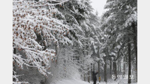 이번 주말 더 강력한 ‘북극 한파’ 온다…영하 50도 찬공기 하강
