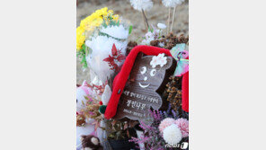 정인이 떠나고 국회엔 40개 법안 쌓였다…목적은 하나 ‘아동보호’