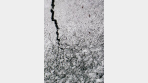 ‘북극발 한파’ 한강이 얼고 있습니다 [청계천 옆 사진관]